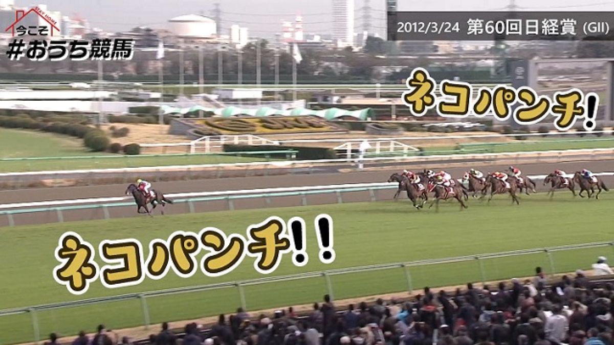 競馬 おもしろ実況 おもしろ馬名集 競馬ニュース Netkeiba Com