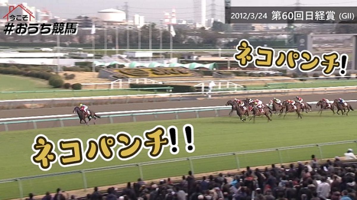 競馬 おもしろ実況 おもしろ馬名集 競馬動画 Netkeiba Com