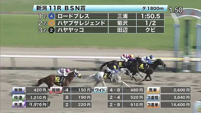 8 29 Bsn賞ほか 新潟ダイジェスト 競馬動画 Netkeiba Com