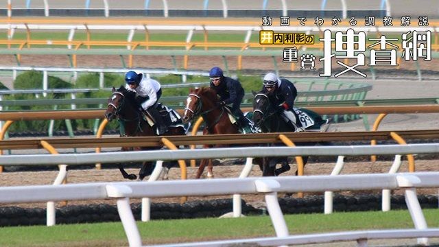 小倉2歳s 最終追い切りを動画で解説 井内利彰 競馬動画 Netkeiba Com