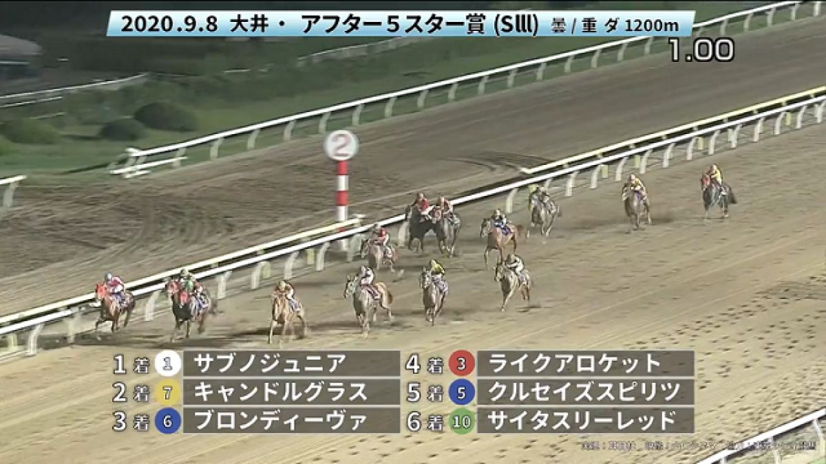 無料 東京盃jpnii 参考レース 競馬ニュース Netkeiba Com
