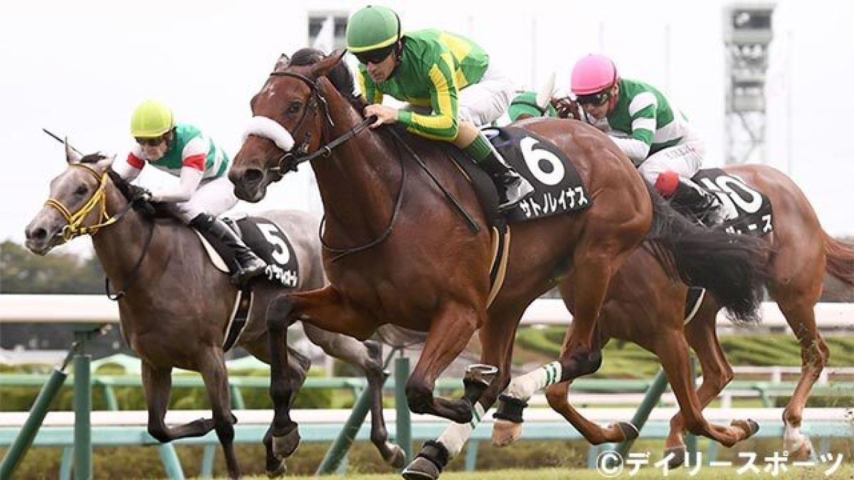 サトノレイナス抜群の切れ味で２勝目 さらに素質ａ牝馬も 丹下日出夫 競馬ニュース Netkeiba Com