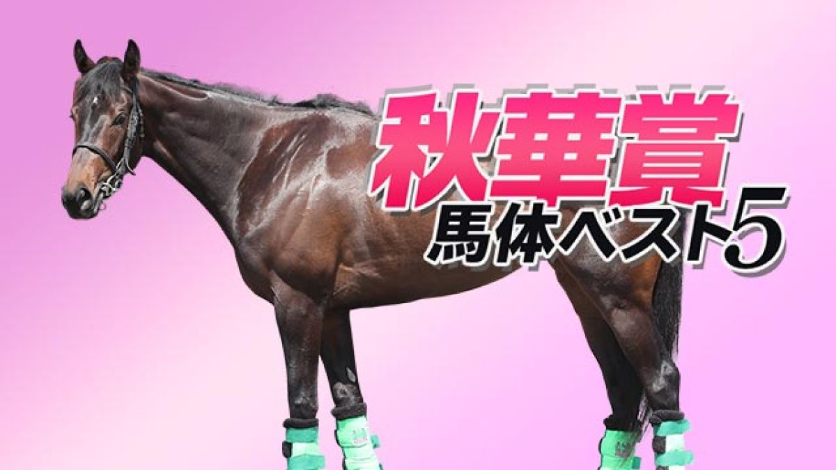 秋華賞 馬体診断 デアリングタクトに一泡吹かせるとすればこの馬 達人が選ぶは1位は 競馬動画 Netkeiba Com