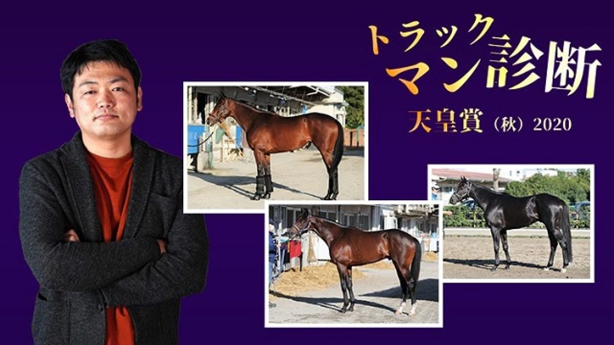 ŷľޡȥåޥͭϤξ֤㤤סָפǿ/¼