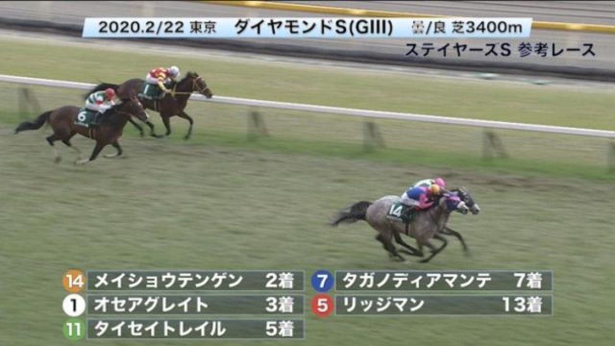 ステイヤーズsgii 参考レース 競馬動画 Netkeiba Com