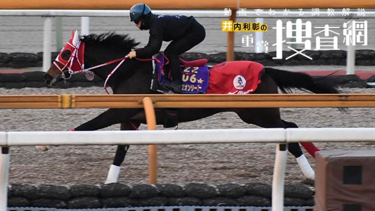 【京都記念 2021】最終追い切りを動画で解説/井内利彰