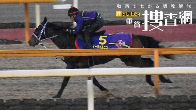 新聞 杯 切り 東京 追い