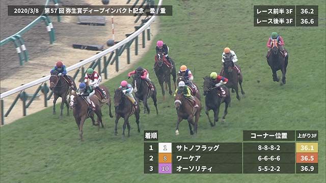 ���ͥ졼������