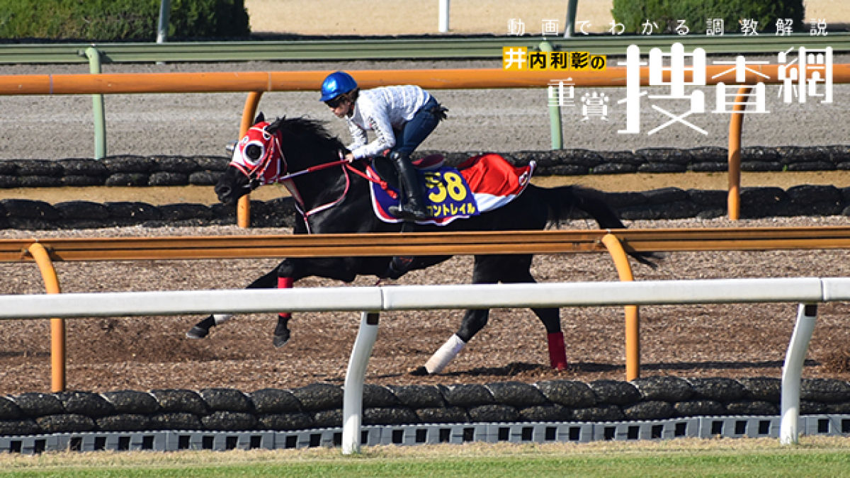 大阪杯 2021 最終追い切りを動画で解説 井内利彰 競馬動画 netkeiba com