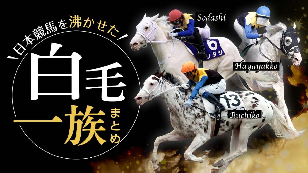 日本競馬を沸かせた白毛一族のレース動画まとめ ソダシ ブチコなど 競馬動画 Netkeiba Com
