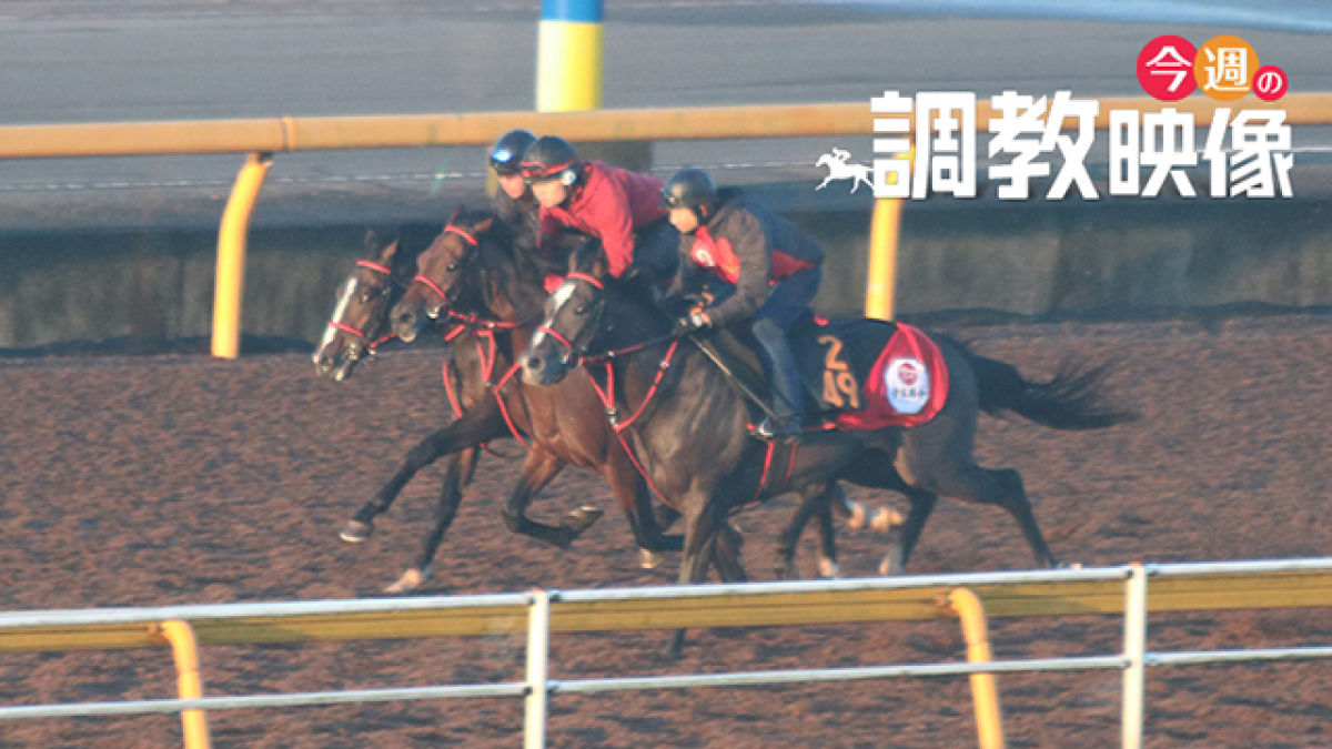 皐月賞 2021 調教映像 競馬動画 netkeiba com