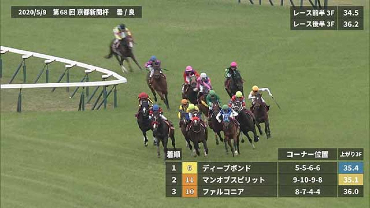 【京都新聞杯 2021】過去5年のレース映像・傾向 競馬予想動画 netkeiba