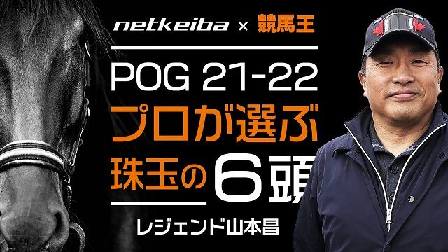 【netkeiba×競馬王POG特番】