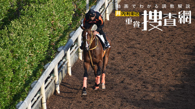 エプソムc 21 最終追い切りを動画で解説 井内利彰 競馬動画 Netkeiba Com