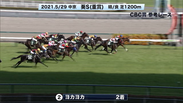 ���ͥ졼������