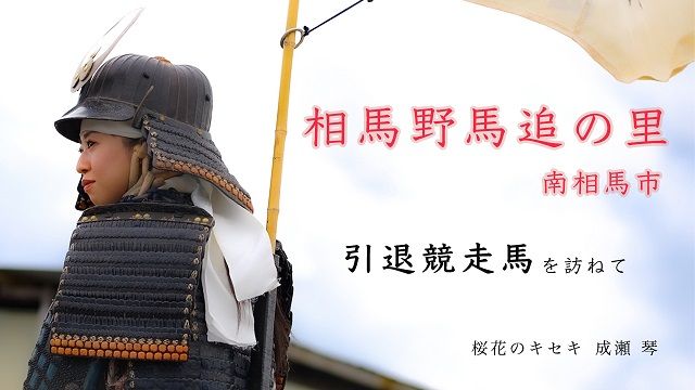 【相馬野馬追の里 南相馬市】引退競走馬を訪ねて。桜花のキセキ成瀬琴 単独取材