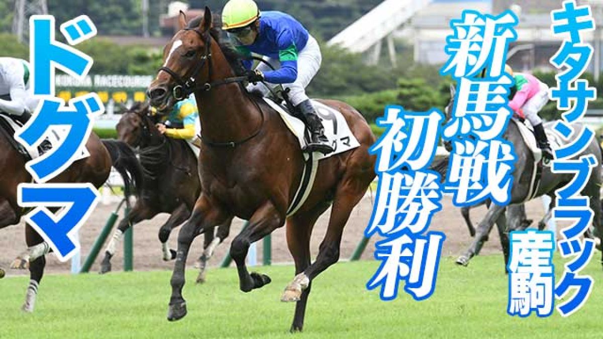 キタサンブラック産駒のドグマが新馬戦でデビューV！/丹下日出夫