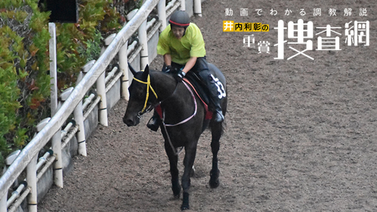 北九州記念 21 最終追い切りを動画で解説 井内利彰 競馬予想動画 Netkeiba Com