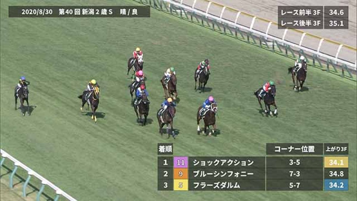新潟2歳s 21 過去5年のレース映像 傾向 競馬予想動画 Netkeiba Com
