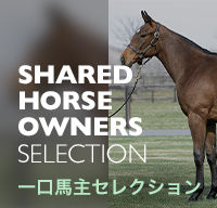 有名一口馬主 Seamoも参戦 年度シルクホースクラブ募集馬の厳選おすすめ馬を大公開 競馬動画 Netkeiba Com