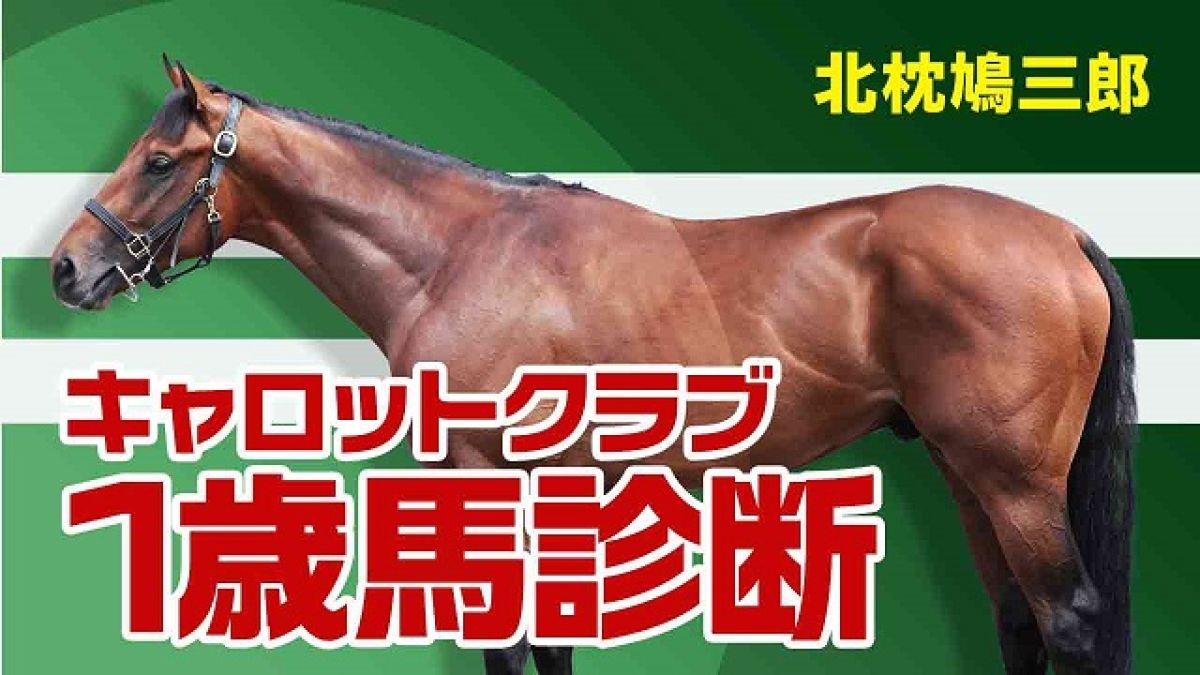 キャロットクラブ21 新種牡馬産駒 お値打ち馬 クラシック向きな注目馬をピックアップ 北枕鳩三郎 競馬予想動画 Netkeiba Com