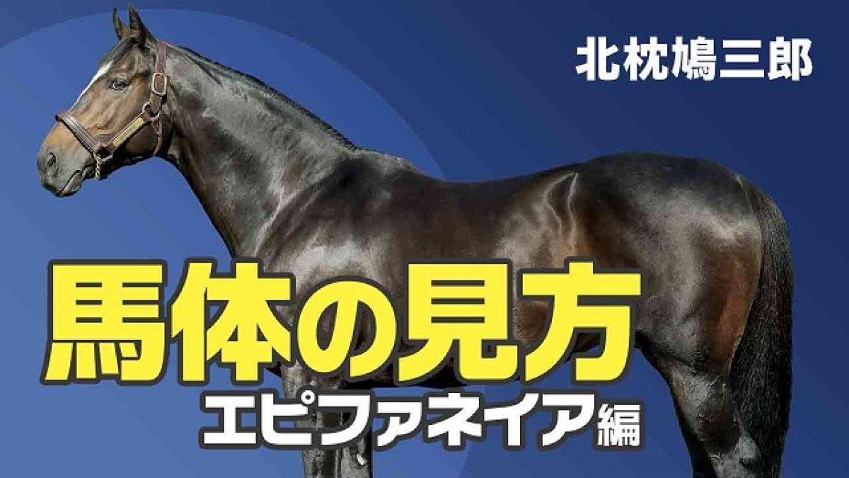 馬体の見方 エピファネイア産駒の特徴と注意してチェックするべき点 北枕鳩三郎 競馬動画 Netkeiba Com