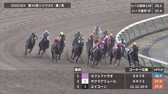 ���ͥ졼������