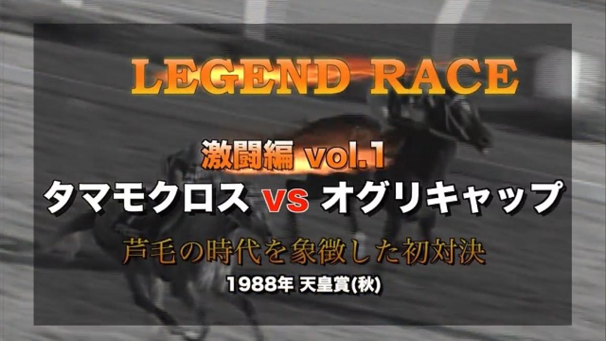 タマモクロスvsオグリキャップ 芦毛対決第一章 南井の秘策 天皇賞 秋19 競馬動画 Netkeiba Com