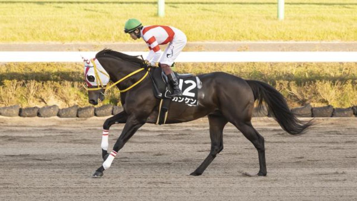 10 16 下越sほか 新潟ダイジェスト Jraレース結果 競馬予想動画 Netkeiba Com