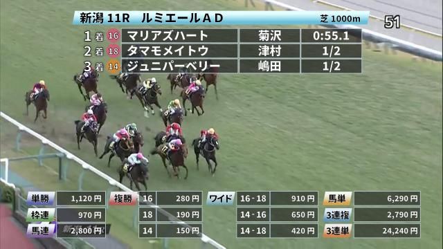 10 31 ルミエールadほか 新潟ダイジェスト Jraレース結果 競馬動画 Netkeiba Com