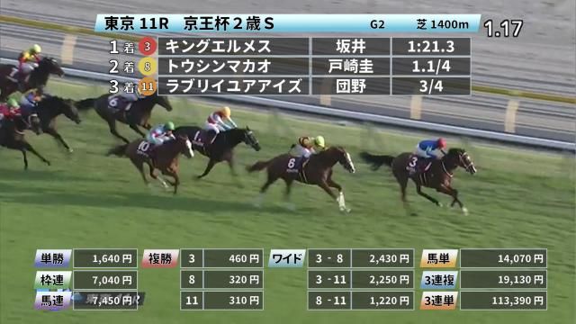 Jraレースダイジェスト映像一覧 競馬まとめ Netkeiba Com