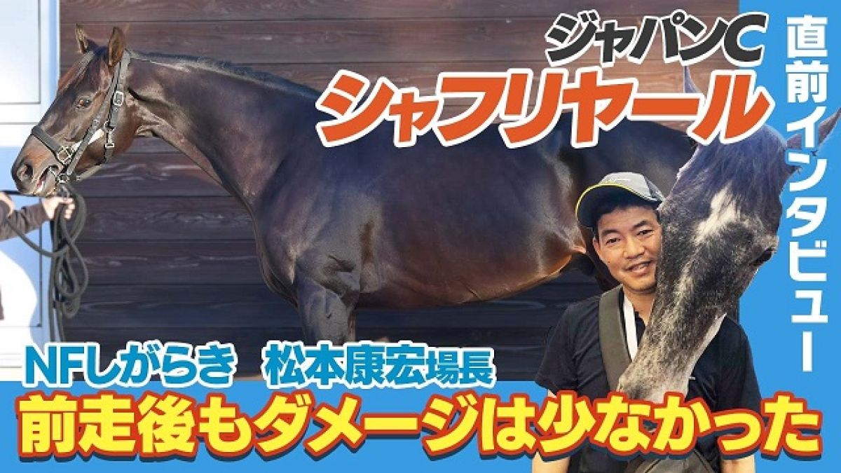 【ジャパンカップ】シャフリヤール 前走後の状態は？ NFしがらき松本康宏場長インタビュー