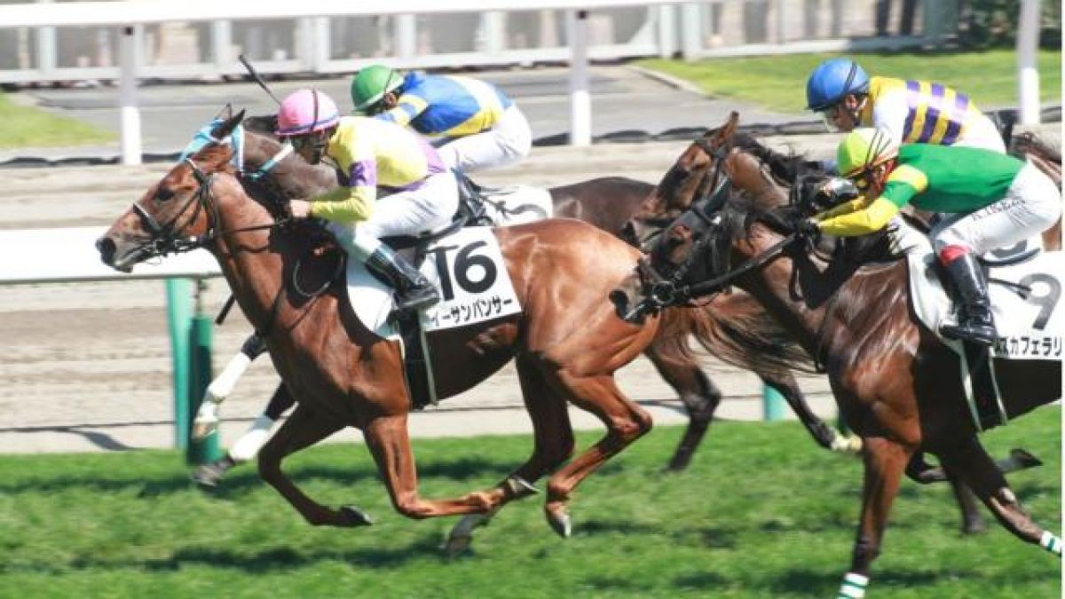 【12/4 飛騨Sほか】中京ダイジェスト/JRAレース結果 競馬予想動画