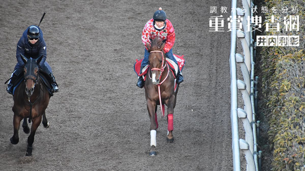 東京新聞杯 22 最終追い切りを動画で解説 井内利彰 競馬予想動画 Netkeiba Com