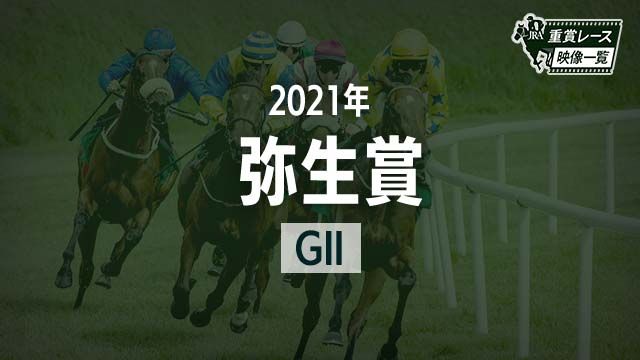 2021 졼ۥȥۥ()/JRA  | ľե륵