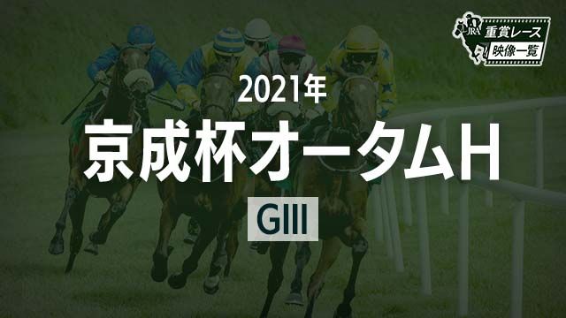 ڵեH2021 졼ۥƥɥ(ͺ귽)/JRA  | ľե륵