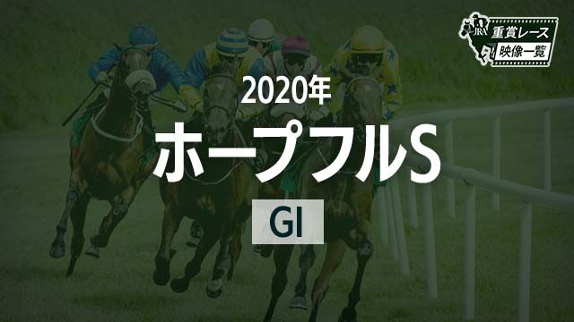 ڥۡץեS2020 졼ۥΥ󥶥å(ľ)/JRA  | ľե륵