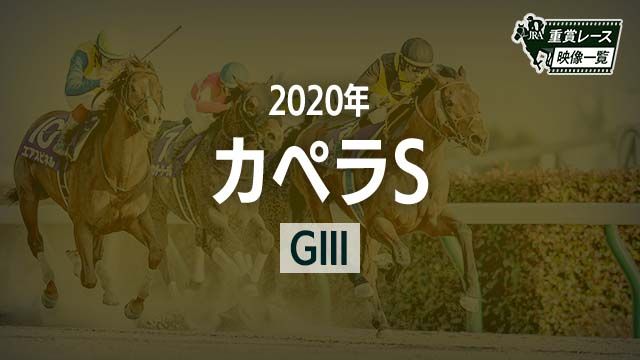 ڥڥS2020 졼ۥ㥹ƥ()/JRA  | ľե륵