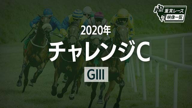 ڥC2020 졼ۥ쥤ѥѥ(ľ)/JRA  | ľե륵