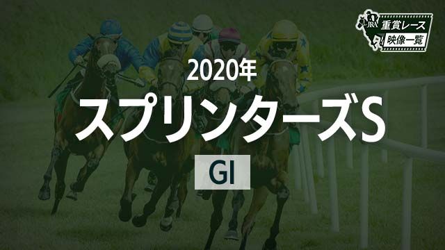 ڥץ󥿡S2020 졼ۥ󥢥쥰ꥢ(᡼)/JRA  | ľե륵