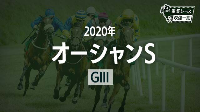 ڥS2020 졼ۥΥ󥹥ޥå(ľ)/JRA  | ľե륵