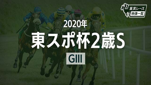 쥹2S2020 졼ۥΥ󥶥å(ľ)/JRA  | ľե륵