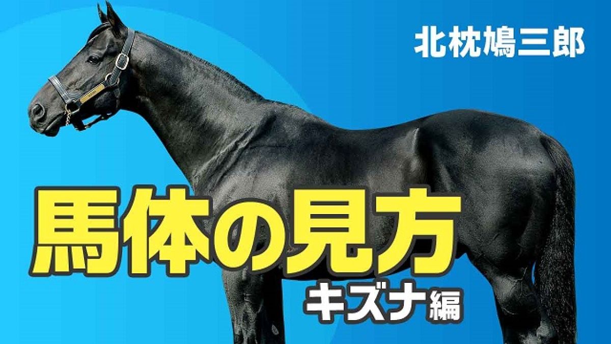 馬体の見方 キズナ産駒の特徴と注意してチェックするべき点 北枕鳩三郎 競馬動画 Netkeiba Com