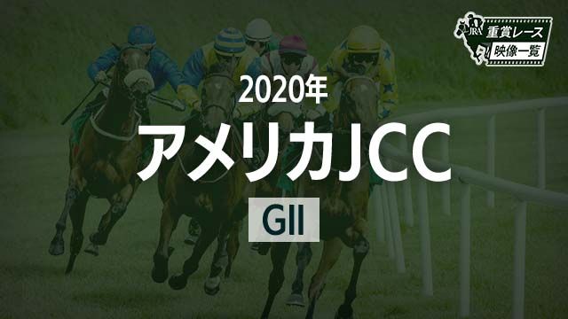 ڥꥫJCC2020 졼ۥ֥饹ȥԡ(ľ)/JRA  | ľե륵