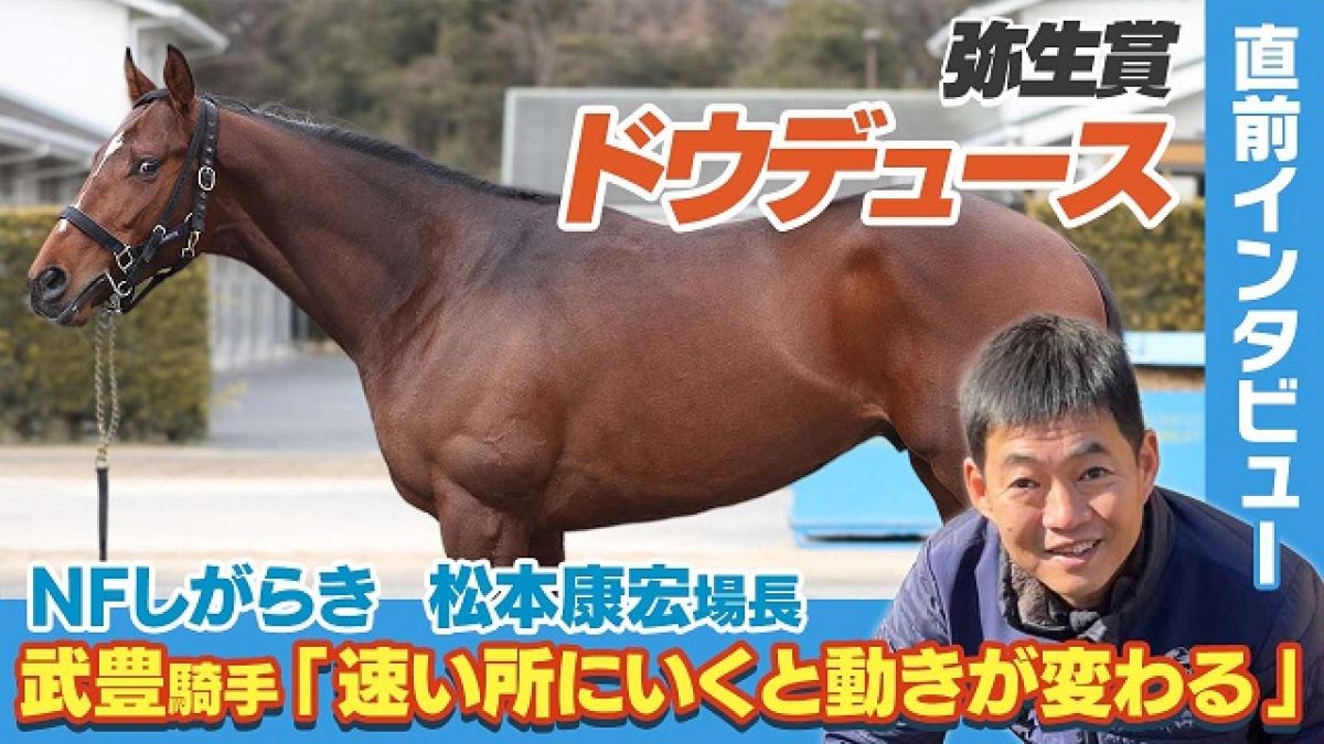 【弥生賞】ドウデュース連勝更新へ！NFしがらき場長が明かすクラシックへの期待や不安材料とは？