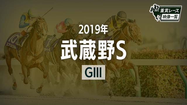 【武蔵野S2019 レース映像】ワンダーリーデル(横山典弘)/JRA 結果