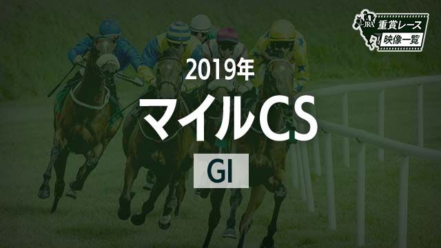 ڥޥCS2019 졼ۥǥ(ź)/JRA  | ľե륵