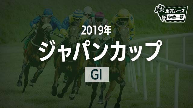 ڥѥ󥫥å2019 졼ۥ㡼(.ޡե)/JRA  | ľե륵