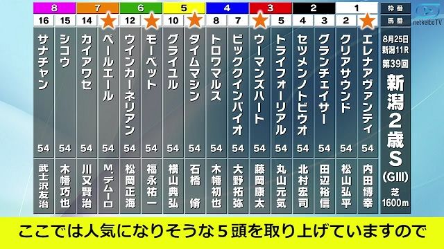 新潟2歳s 19 出走馬の最終追い切りを動画で解説 井内利彰 競馬動画 Netkeiba Com