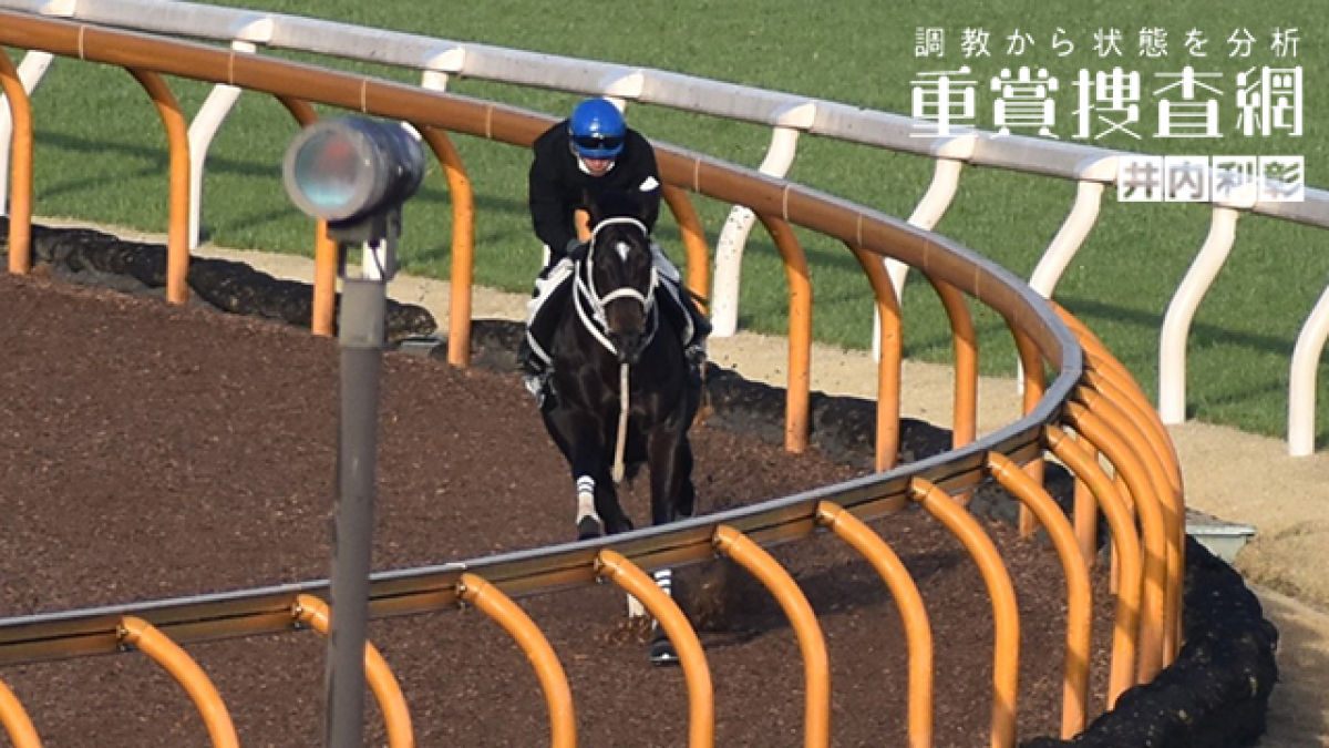 【阪神大賞典 2022】最終追い切りを動画で解説/井内利彰
